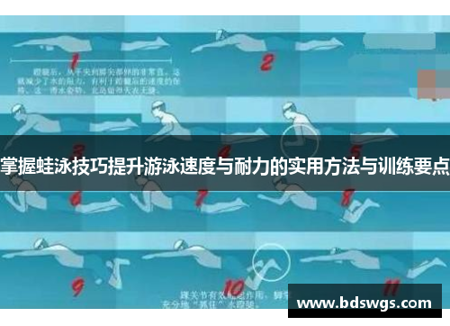 掌握蛙泳技巧提升游泳速度与耐力的实用方法与训练要点