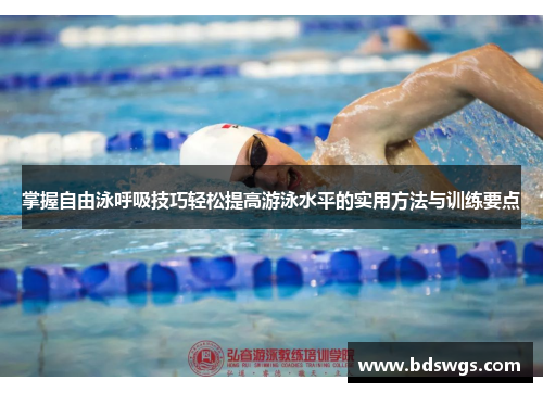 掌握自由泳呼吸技巧轻松提高游泳水平的实用方法与训练要点