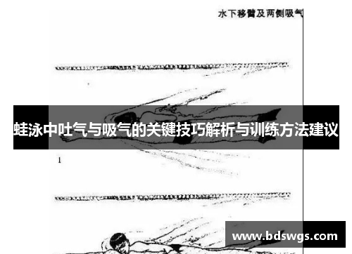 蛙泳中吐气与吸气的关键技巧解析与训练方法建议