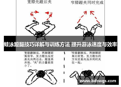 蛙泳蹬腿技巧详解与训练方法 提升游泳速度与效率
