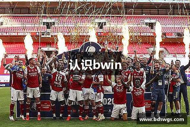 认识bwin